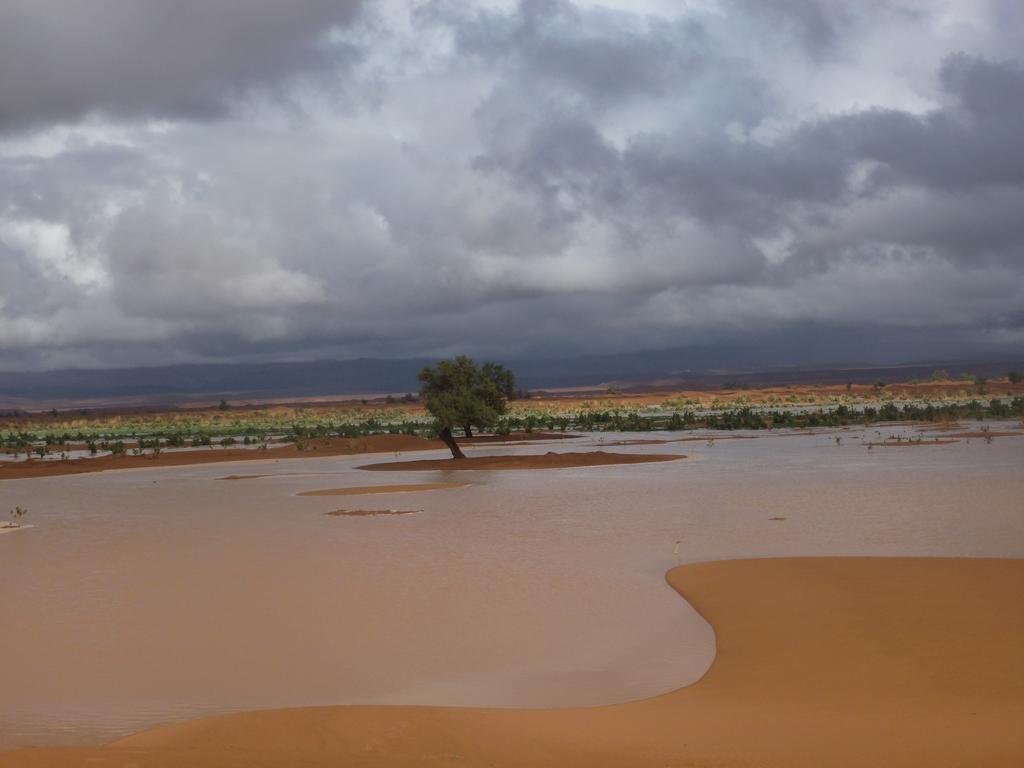 Atta Desert Camp El Gouera Exterior photo